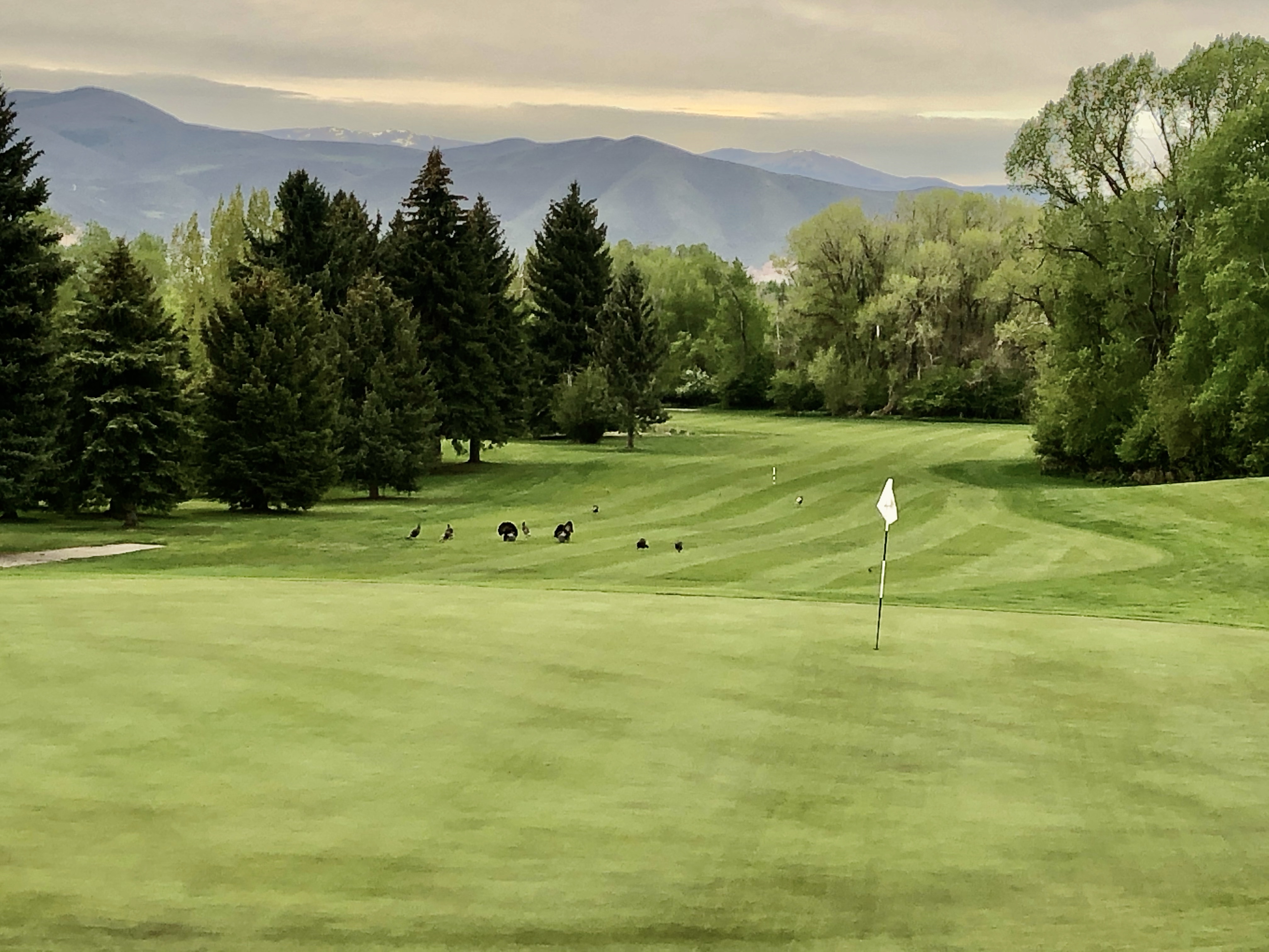 Wasatch Golf Lake Course Review Utah Golf Guy Utah Golf Courses